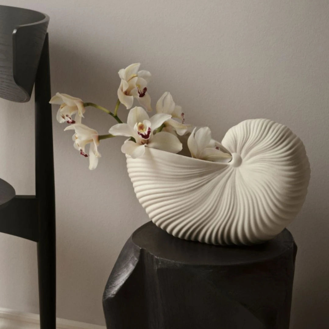 Aurelis - Nautilus Shell Ceramic Planter